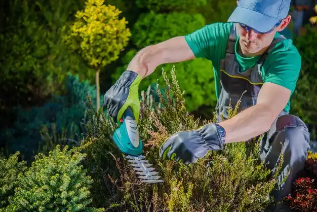 landscaping services Oakbrook